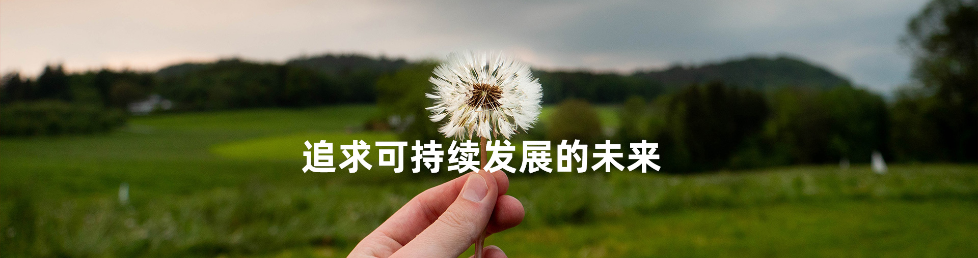 社会责任